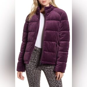 MNY Purple Velvet Jacket